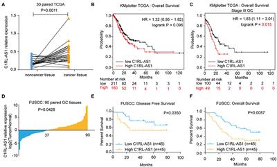 Silencing of LncRNA C1RL-AS1 Suppresses the Malignant Phenotype in Gastric Cancer Cells via the AKT/β-Catenin/c-Myc Pathway